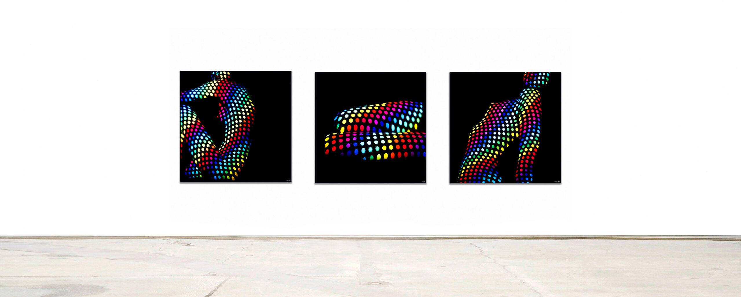 Gallery wall New slideshow 12