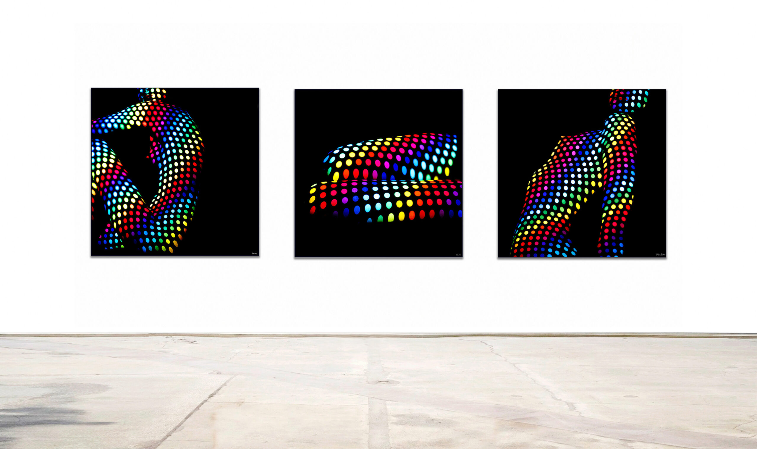 Gallery wall website slideshow-12