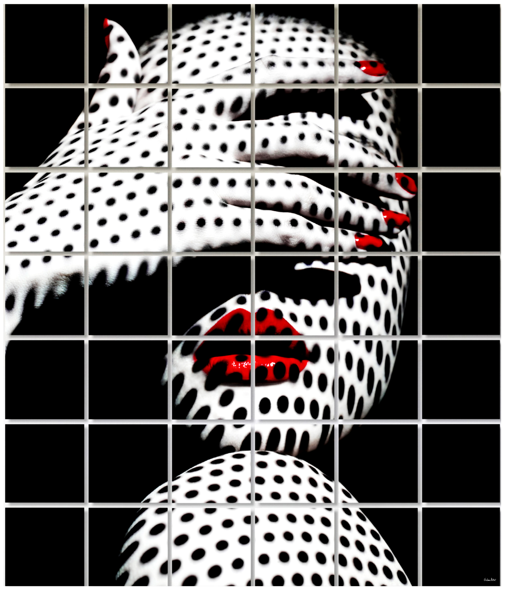 Modernismo Series M14 (42 Piece Collage)